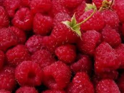 Вкусо-ароматическая добавка Малина