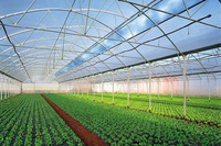 Тепличная пленка