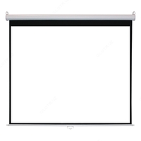  Экраны для проекторов (моторизованные) - 