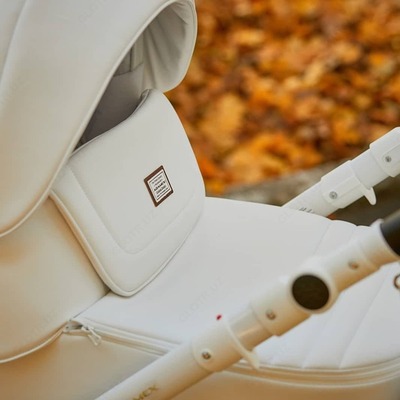 Коляска ADAMEX LUCIANO 2 в 1 , Польша