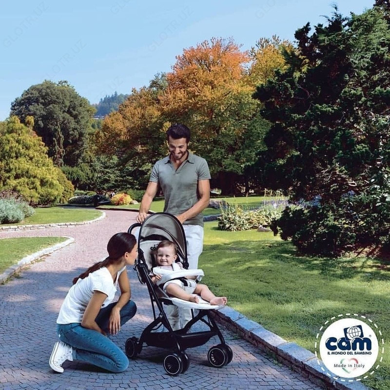 Прогулочная коляска CAM Curvi