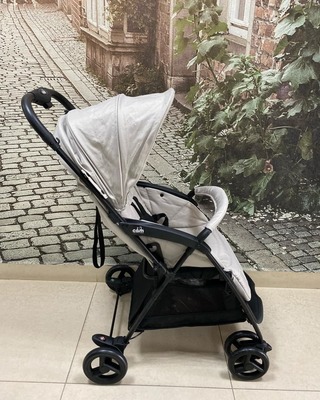 Прогулочная коляска CAM Curvi