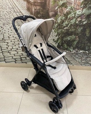 Прогулочная коляска CAM Curvi