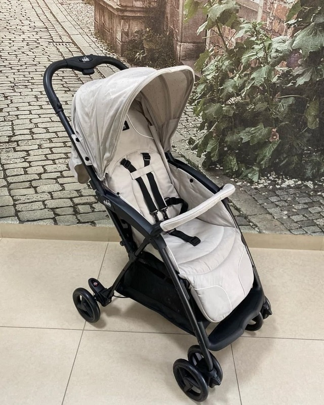 Прогулочная коляска CAM Curvi