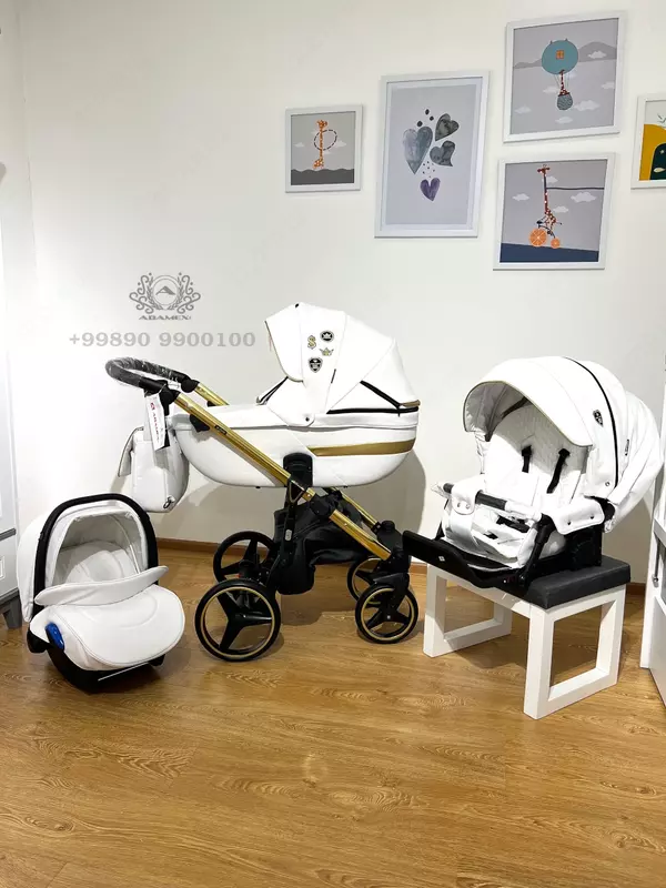 Adamex Cortina se Special Edition aravachasi (Polsha), 1 da 3