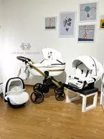 по запросу Коляска Adamex Cortina SE Special Edition🇵🇱(Польша) 3 в 1