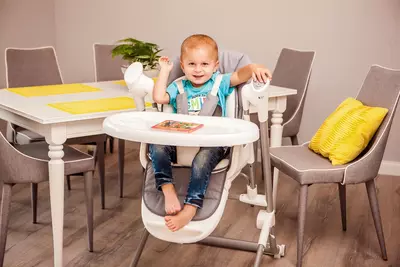 🇵🇱 Lionelo Niles Стульчик качалочка 🇵🇱 (Польша)