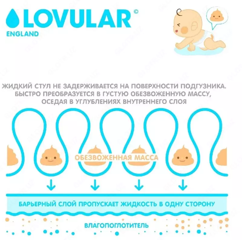 Lovular Hot Wind l tagliklari 9-13 kg 54 dona