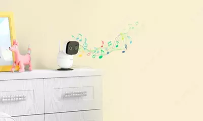 Видеоняня Panasonic цифровая KX-HN3001RU