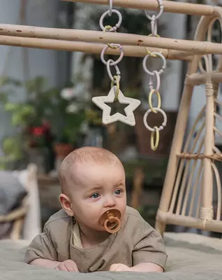 Любимые BIBS LOOPS - колечки игрушки грызунки.