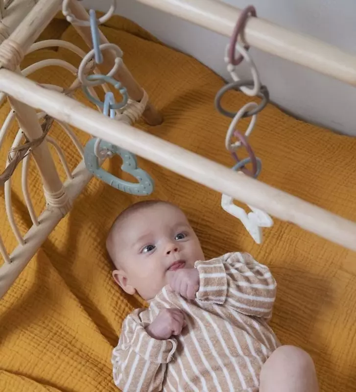 Любимые BIBS LOOPS - колечки игрушки грызунки.