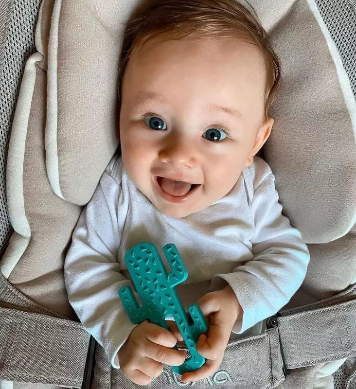 Minikoioi Kaktus Tishlari  🌵