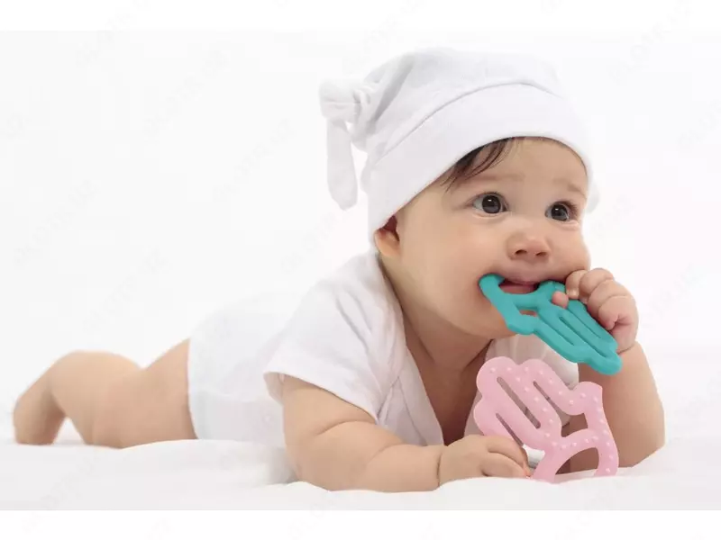 Minikoioi Kaktus Tishlari  🌵