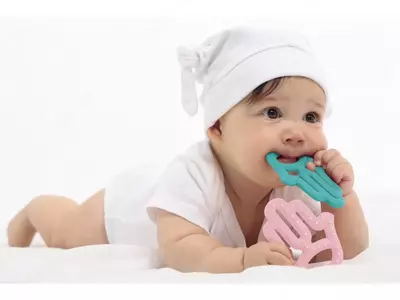 Прорезыватель Minikoioi Cactus 🌵