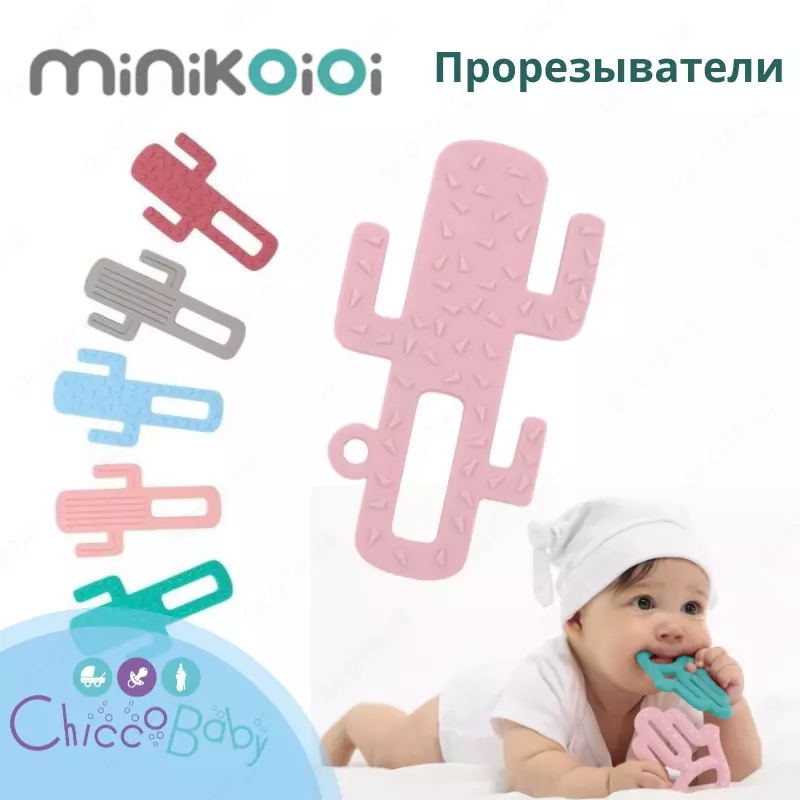 Minikoioi Kaktus Tishlari  🌵