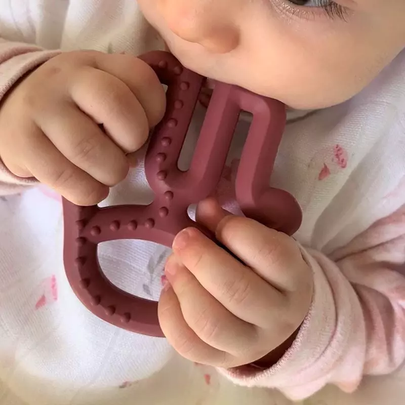 Minikoioi Toothee tish tishlari