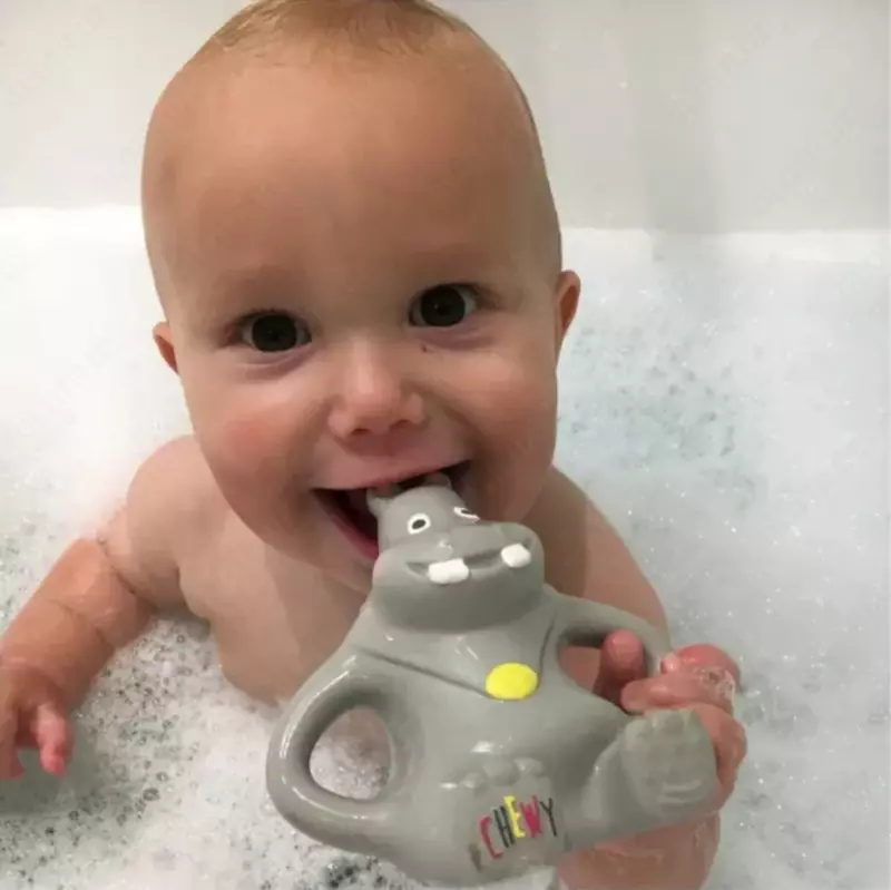 Chewy hippo tish kemiruvchisi  