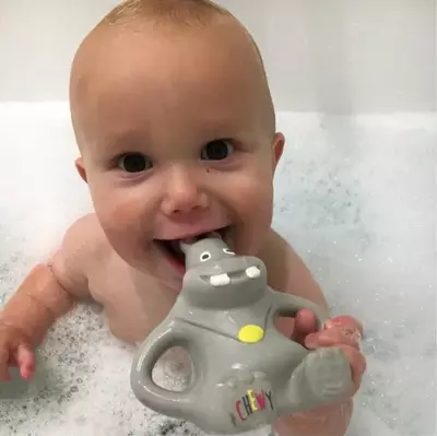 Chewy hippo tish kemiruvchisi