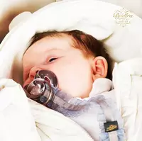 по запросу Пустышка-соска Bjallra of Sweden - родом из Швеции! - металлик