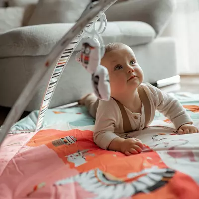 Lionelo Jenni Multicolor rivojlanayotgan gilam