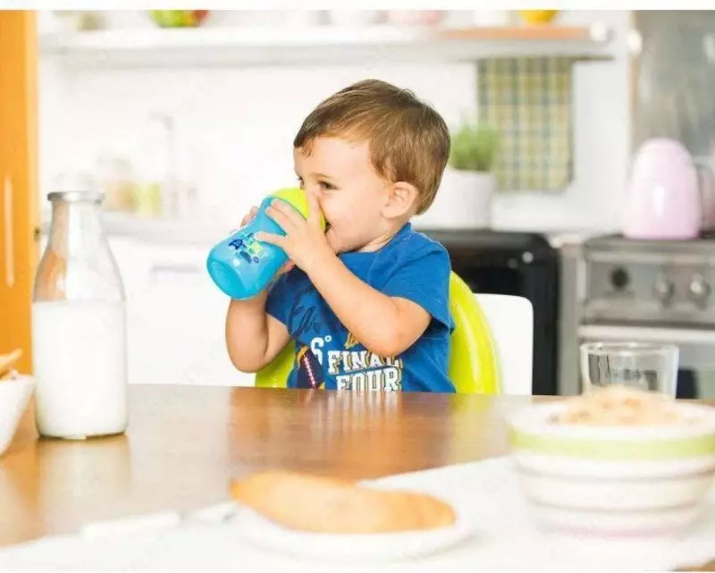 Поильник Chicco Easy Cup с 12 мес+. 266 мл CHICCOBABY.UZ