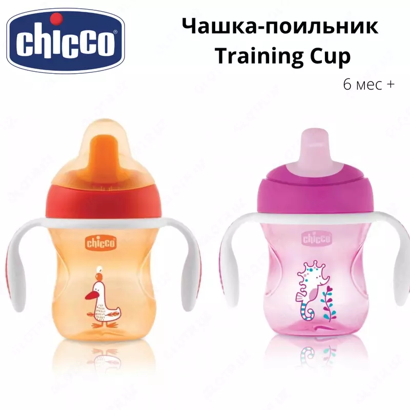  CHICCO oquv Kubogi ichimlik kubogi  200 ml. 6 + oy. - 