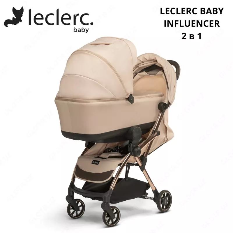 Leclerc BABY INFLUENCERS aravachasi 1da 2 (Gollandiya)