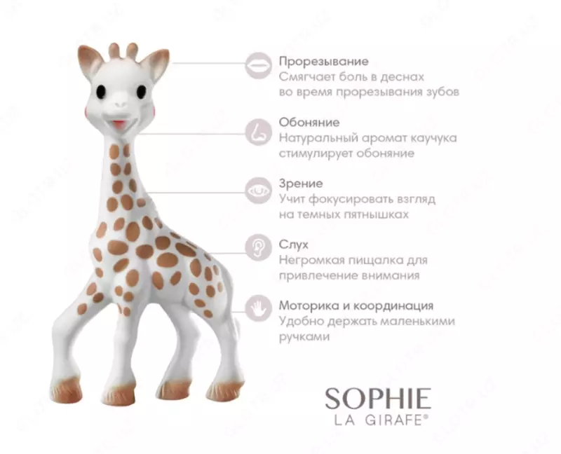 Vulli жираф набор прорезыватель для зубов Sophie la Girafe + мягкая игрушка для сна🦒Sophie la girafe
