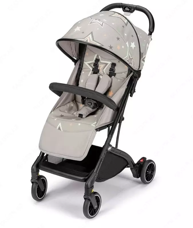 Cam Compas aravachasi