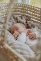 по запросу Соска-пустышка BIBS BOHEME LATEX Sage Glow 0-6 мес