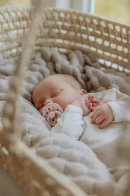 Соска-пустышка BIBS BOHEME LATEX Sage Glow 0-6 мес