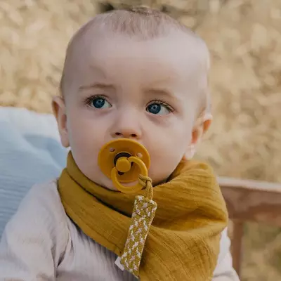 Держатель для пустышки BIBS