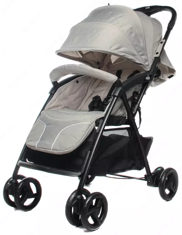 Прогулочная коляска CAM Curvi