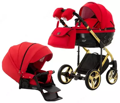 Коляска Adamex Chantal Special Edition (Польша) 3 в 1