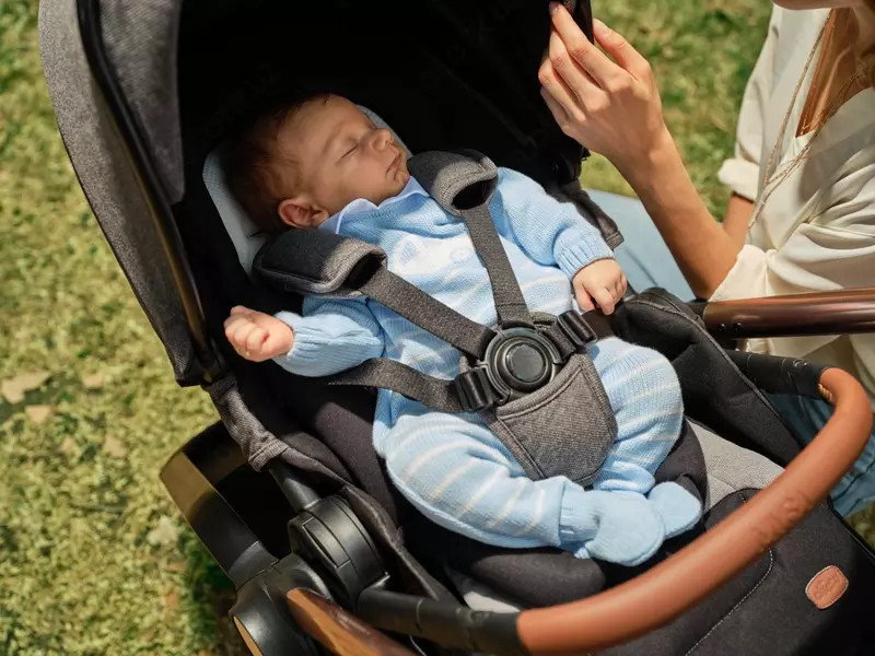 Детская коляска Chicco Mysa Grey