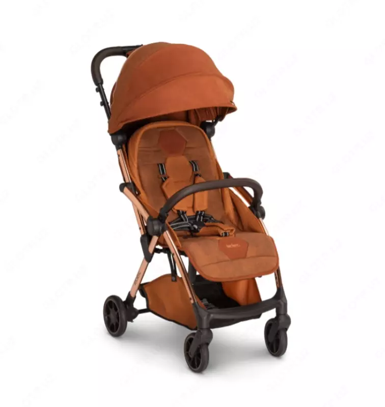 Leclerc Hexagon gezginci Niderlandiya (Monte Karlo)