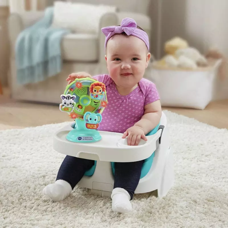 Игрушка для развития Колесо обозрения VTech
