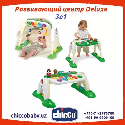 Rivojlanish markazi "Deluxe" 3 in 1