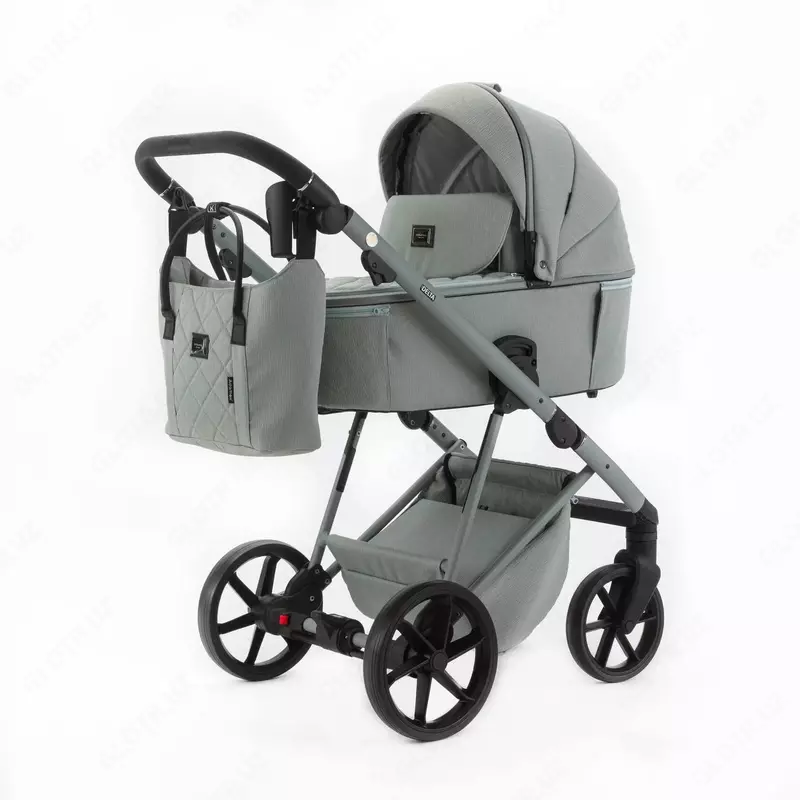 Детская коляска 2 в 1 "Adamex" Delta Nature 8 MINT, +0 мес., сумка для мамы