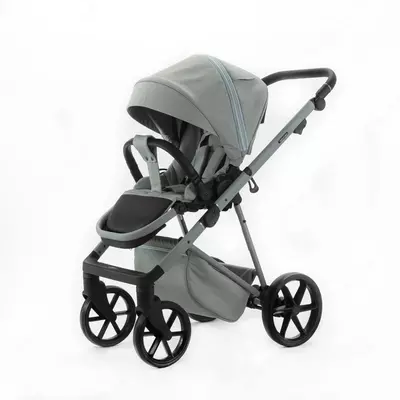 Детская коляска 2 в 1 "Adamex" Delta Nature 8 MINT, +0 мес., сумка для мамы