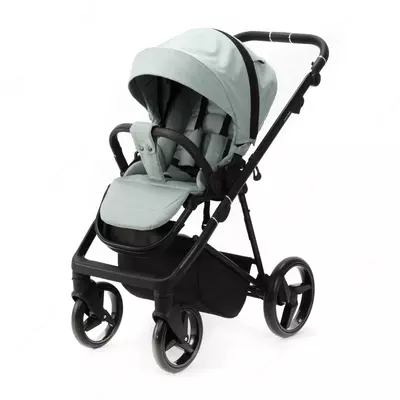 Детская коляска 2-в-1 "Adamex" Blanc Standart PS122 (Польша) Мята