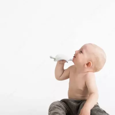 HEORSHE EXPLORER tish chiqargich, oq