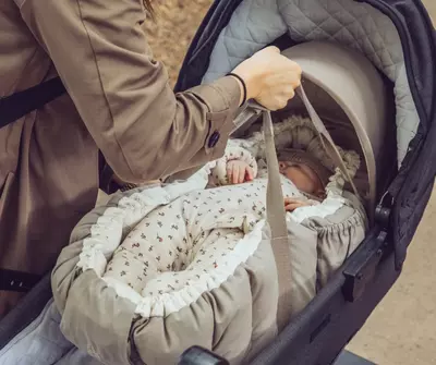  Sebra — Детское гнездышко 3-в-1  расцветка Sophora Leaves CHICCOBABY.UZ