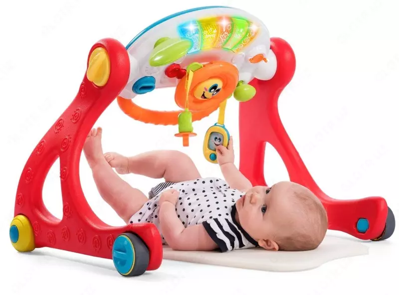 Игровой развивающий центр GROW & WALK GYM 4 В 1