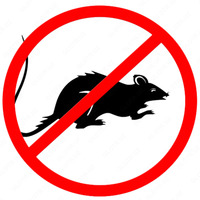 Уничтожение крыс