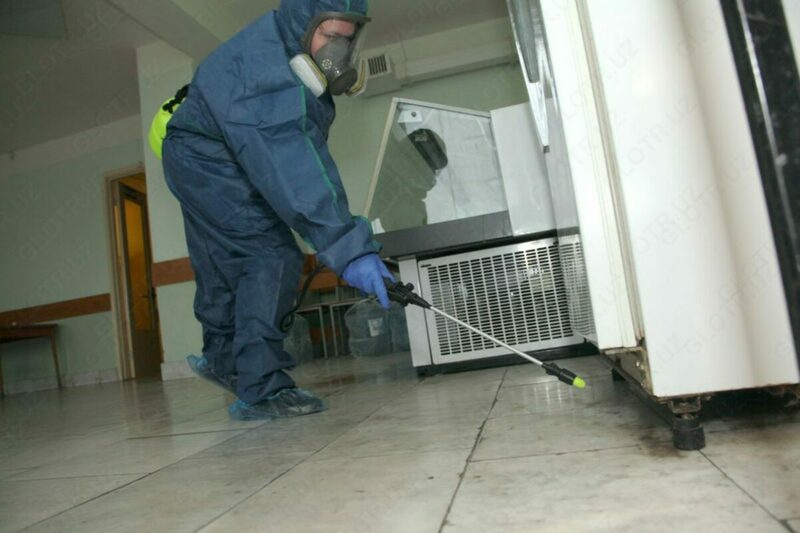 Уничтожение скорпионов