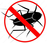 Уничтожение тараканов