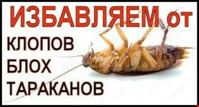ДЕЗИНФЕКЦИЯ,ДЕЗИНСЕКЦИЯ,ДЕРАТИЗАЦИЯ ОТ НАСЕКОМЫХ