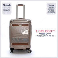 Дорожный чемодан марки Ricardo 003