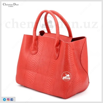 Женская сумка "CHRISTIAN DIOR", модель № 2